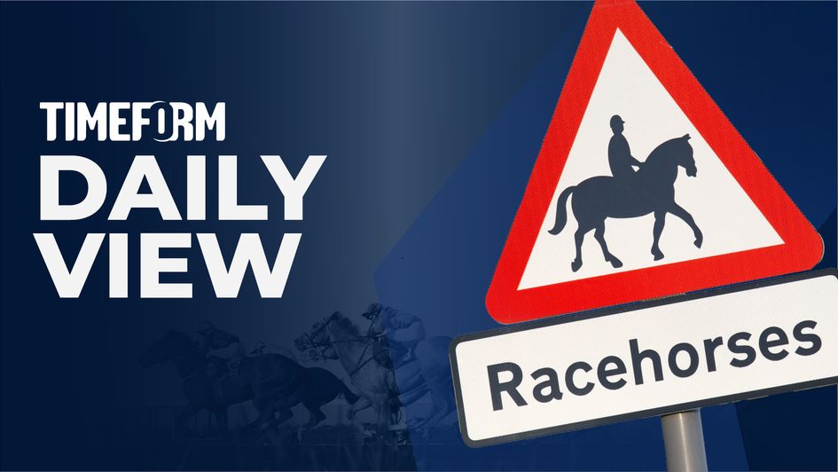 Timeform Daily View