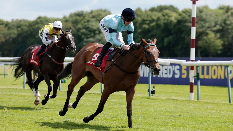 Believing wins at Haydock