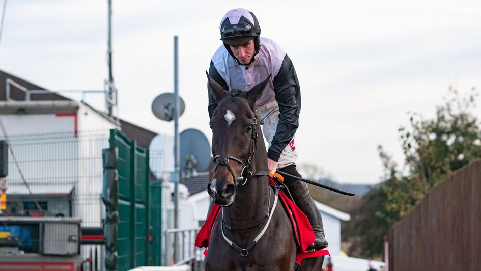 Gerri Colombe - star of great weekend for Gordon Elliott