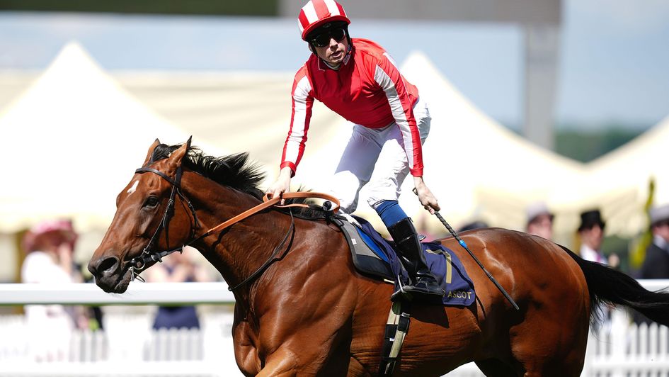 Isle Of Jura, ridden by Callum Shepherd