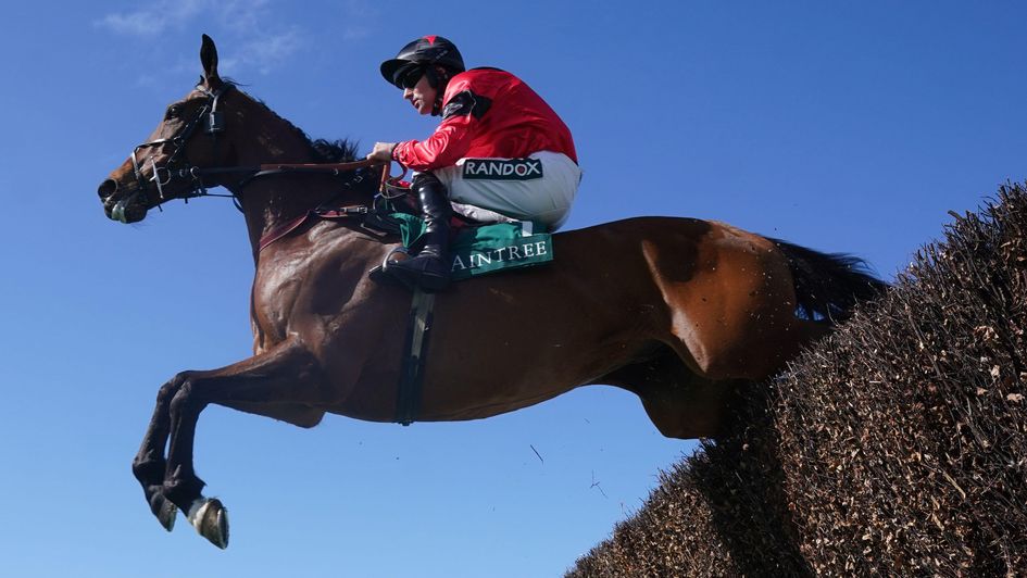 Ahoy Senor - set to run in his first Betfair Chase