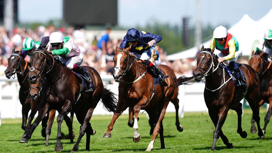 Khaadem wins again at Royal Ascot