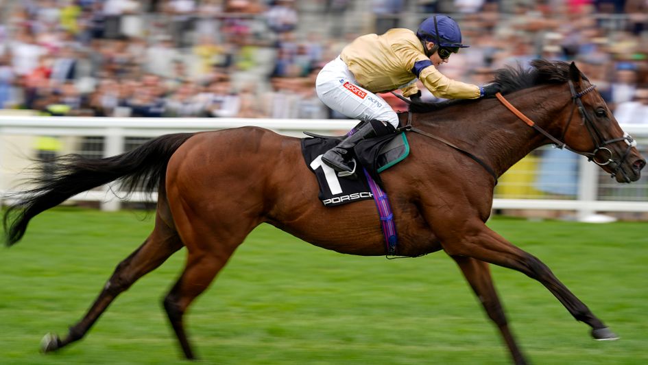 Tempus in winning form at Ascot