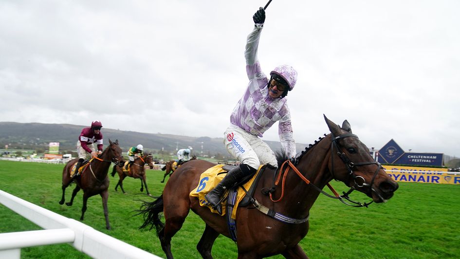 Golden Ace wins at Cheltenham