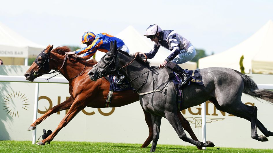 Ryan Moore steers Port Fairy to victory in the Ribblesdale